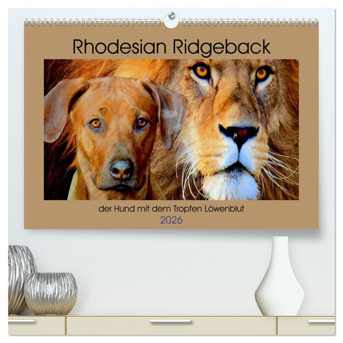 Rhodesian Ridgeback der Hund mit dem Tropfen Löwenblut (CALVENDO Premium Wandkalender 2026)