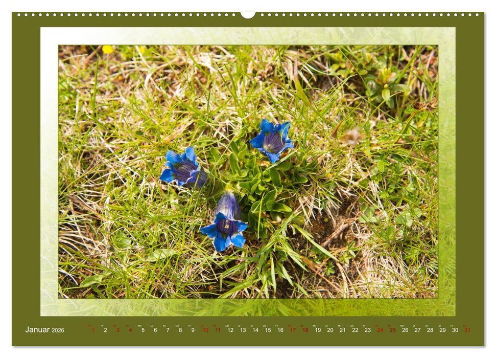 Das vergessene Tal. Schnalstal - Val Senales (CALVENDO Premium Wandkalender 2026)