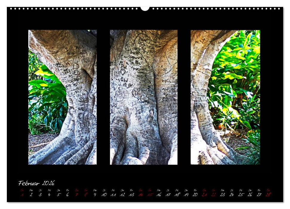 Die Kunst der Natur - Dreifach Stilvoll (CALVENDO Premium Wandkalender 2026)