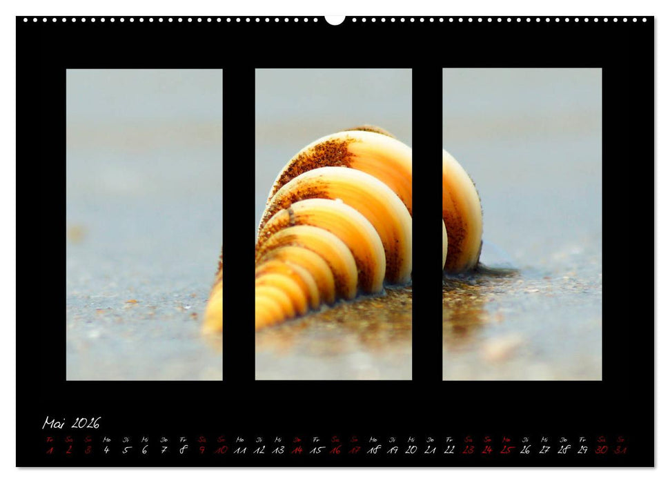 Die Kunst der Natur - Dreifach Stilvoll (CALVENDO Premium Wandkalender 2026)