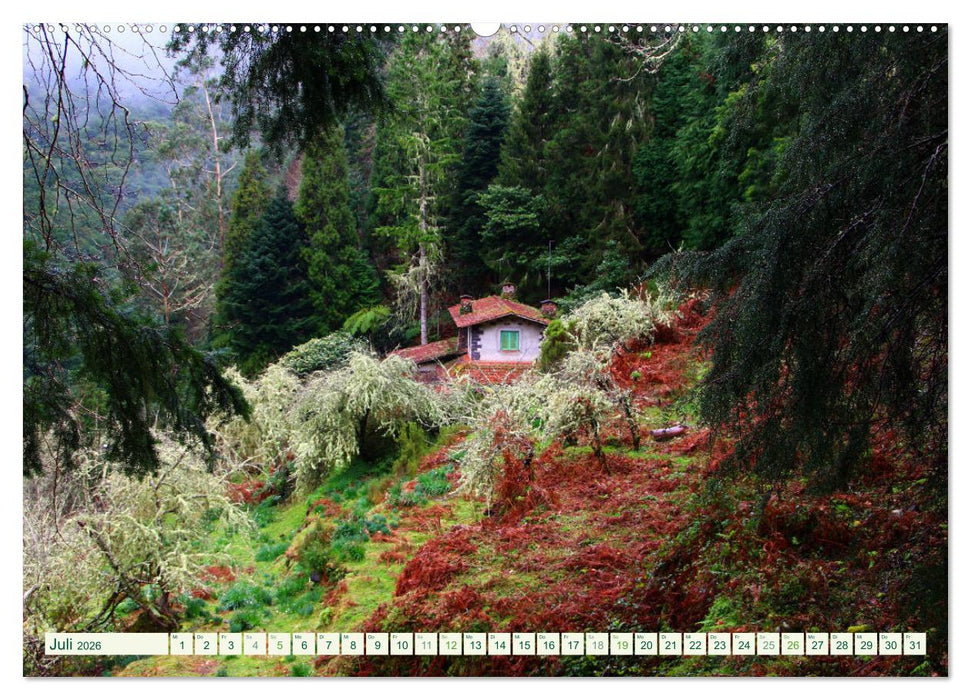 Madeira - Portugals Perle im Atlantik (CALVENDO Premium Wandkalender 2026)
