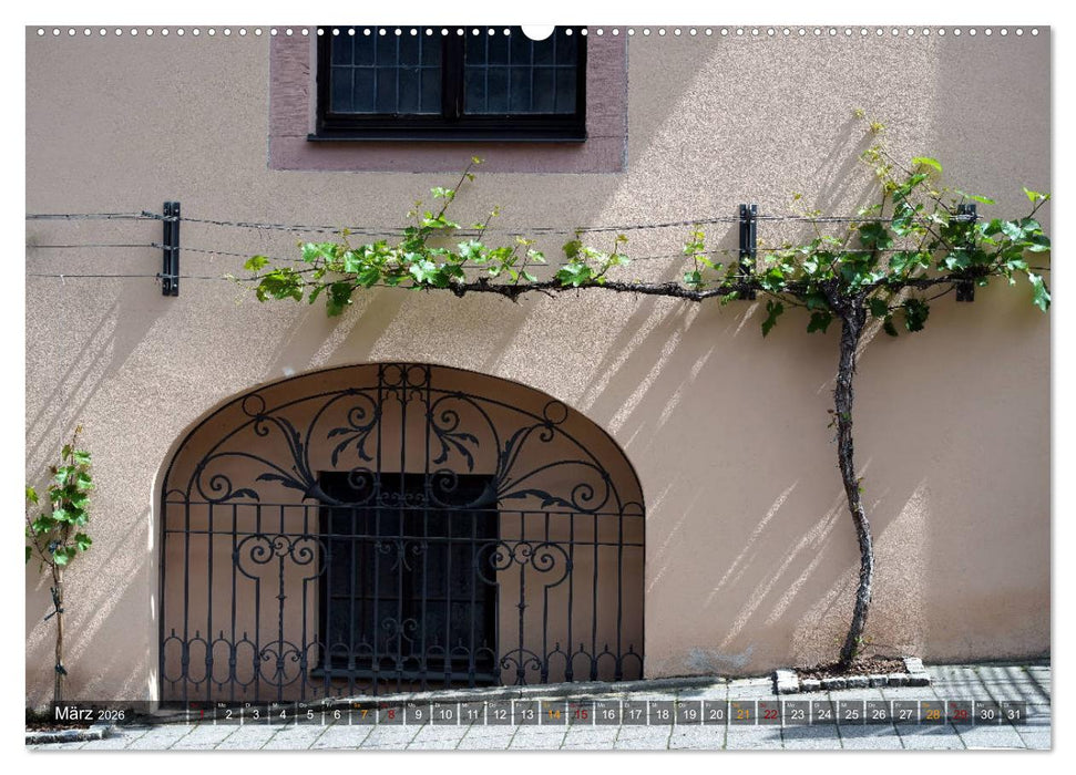 Miltenberg am Main (CALVENDO Premium Wandkalender 2026)