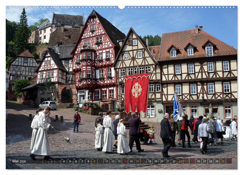 Miltenberg am Main (CALVENDO Premium Wandkalender 2026)