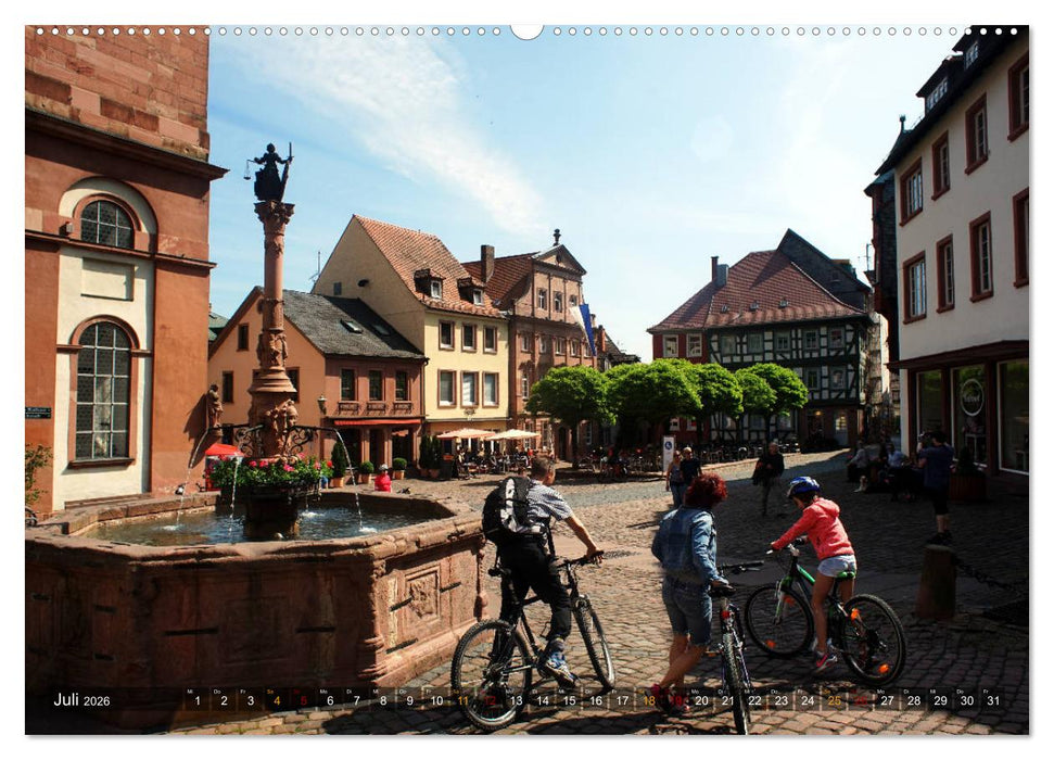 Miltenberg am Main (CALVENDO Premium Wandkalender 2026)