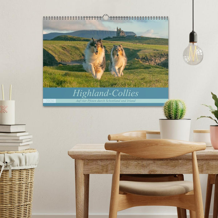 Highland-Collies - Auf vier Pfoten durch Schottland und Irland (CALVENDO Wandkalender 2026)