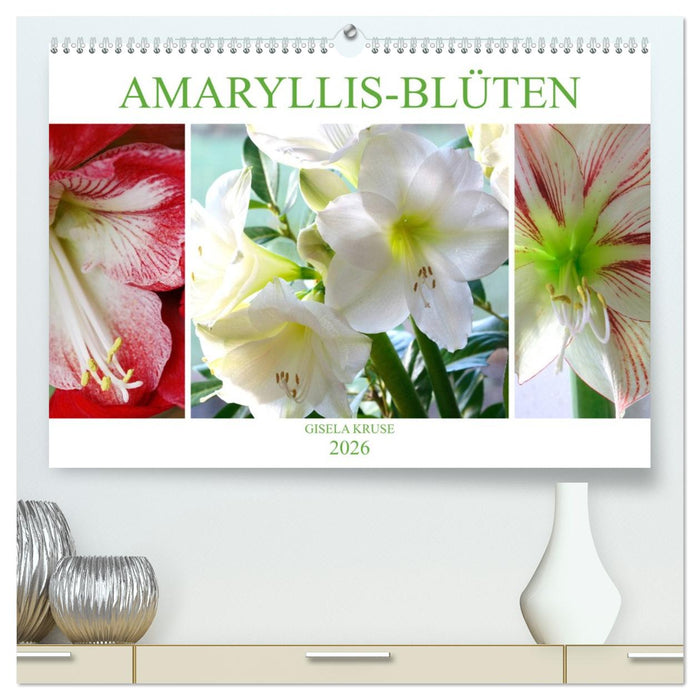 Amaryllis-Blüten (CALVENDO Premium Wandkalender 2026)
