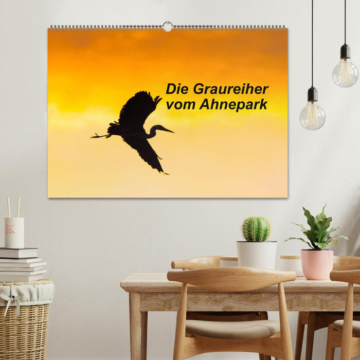 Die Graureiher vom Ahnepark (CALVENDO Wandkalender 2026)
