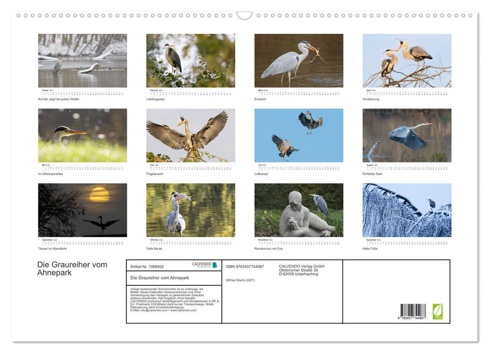 Die Graureiher vom Ahnepark (CALVENDO Wandkalender 2026)