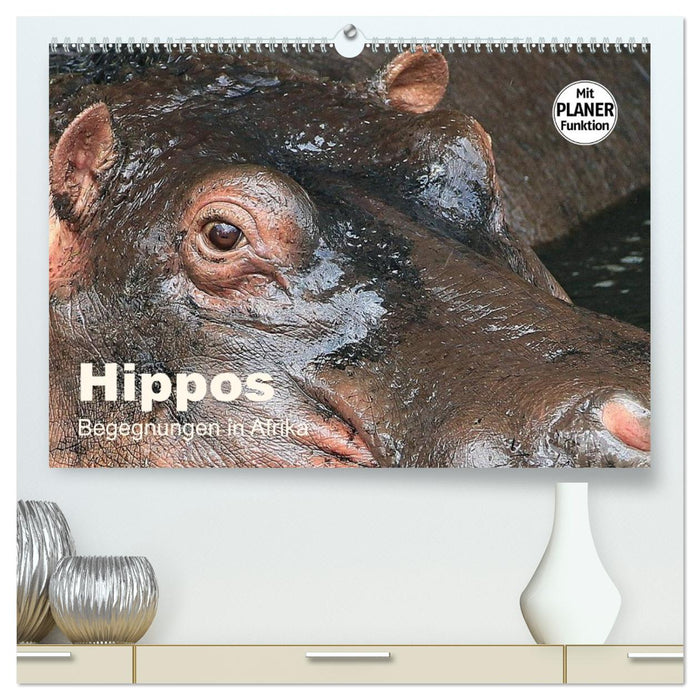 Hippos - Begegnungen in Afrika (CALVENDO Premium Wandkalender 2026)