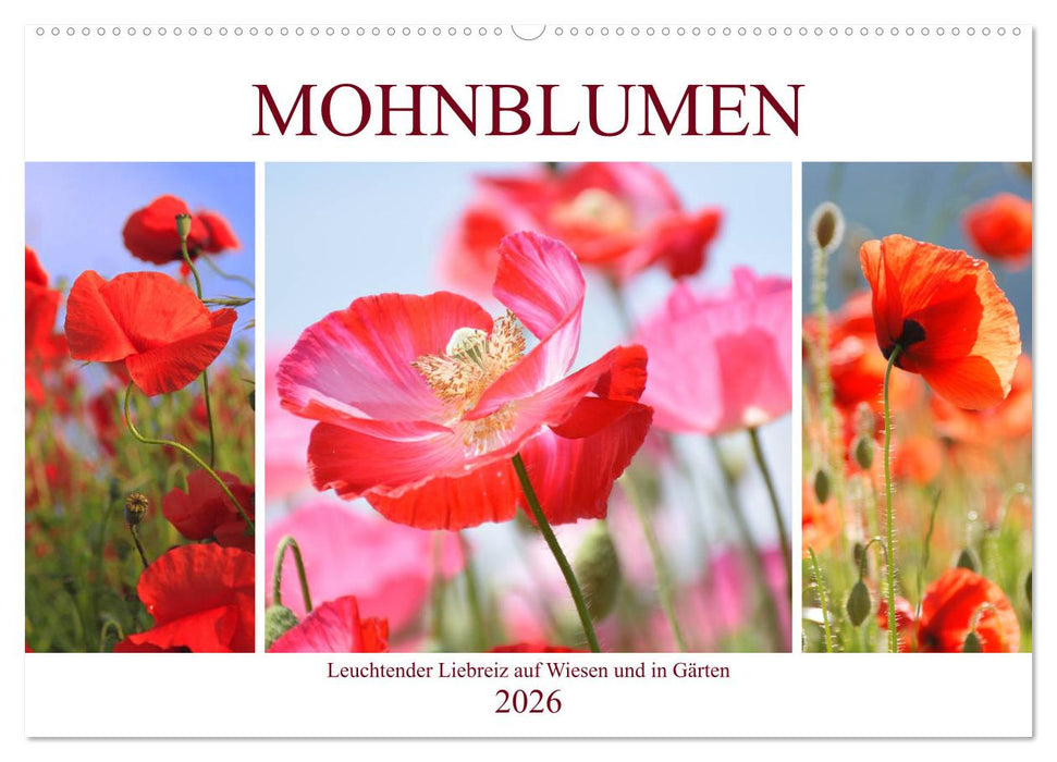 Mohnblumen. Leuchtender Liebreiz auf Wiesen und in Gärten (CALVENDO Wandkalender 2026)
