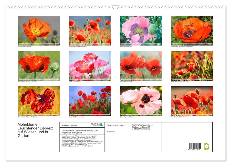 Mohnblumen. Leuchtender Liebreiz auf Wiesen und in Gärten (CALVENDO Wandkalender 2026)