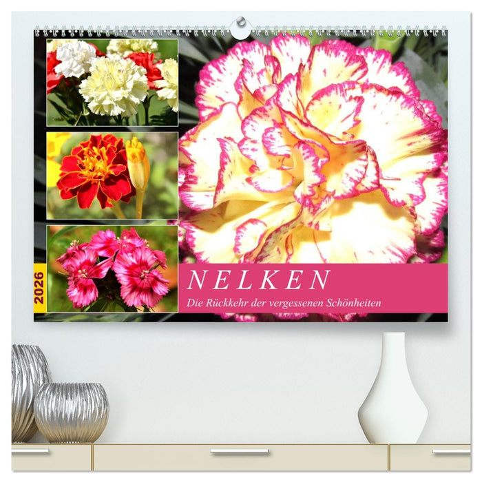 Nelken. Die Rückkehr der vergessenen Schönheiten (CALVENDO Premium Wandkalender 2026)