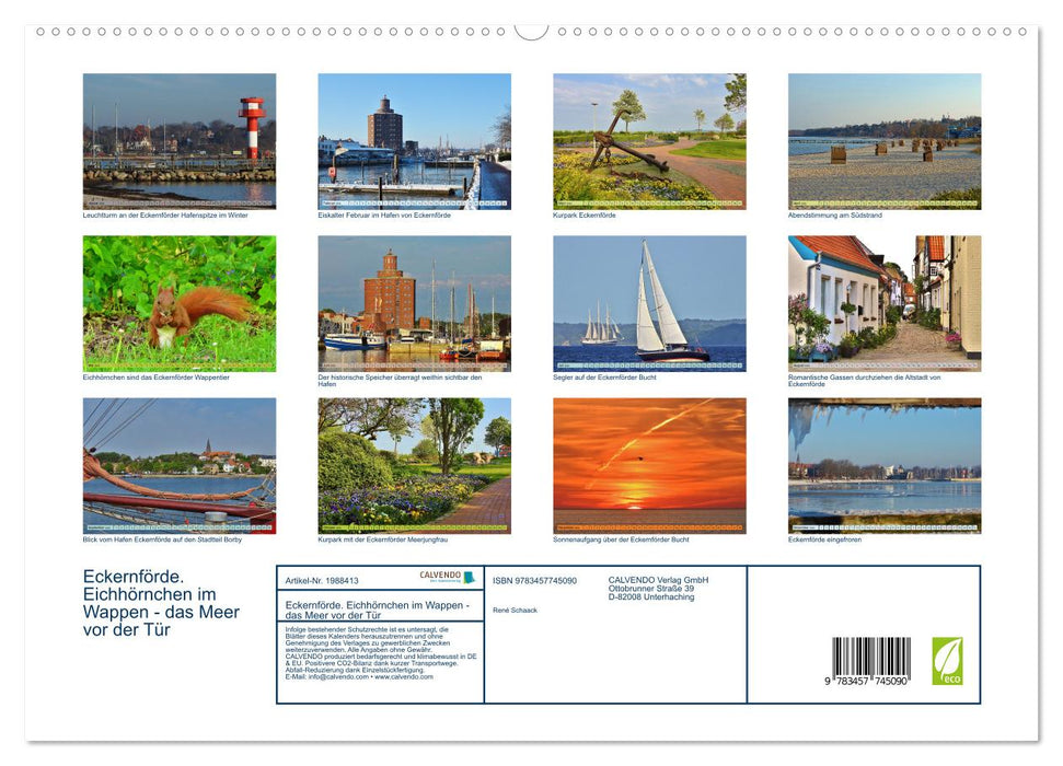 Eckernförde. Eichhörnchen im Wappen - das Meer vor der Tür (CALVENDO Wandkalender 2026)