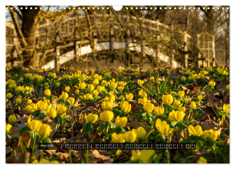 Magdeburg - Ottostadt (CALVENDO Wandkalender 2026)