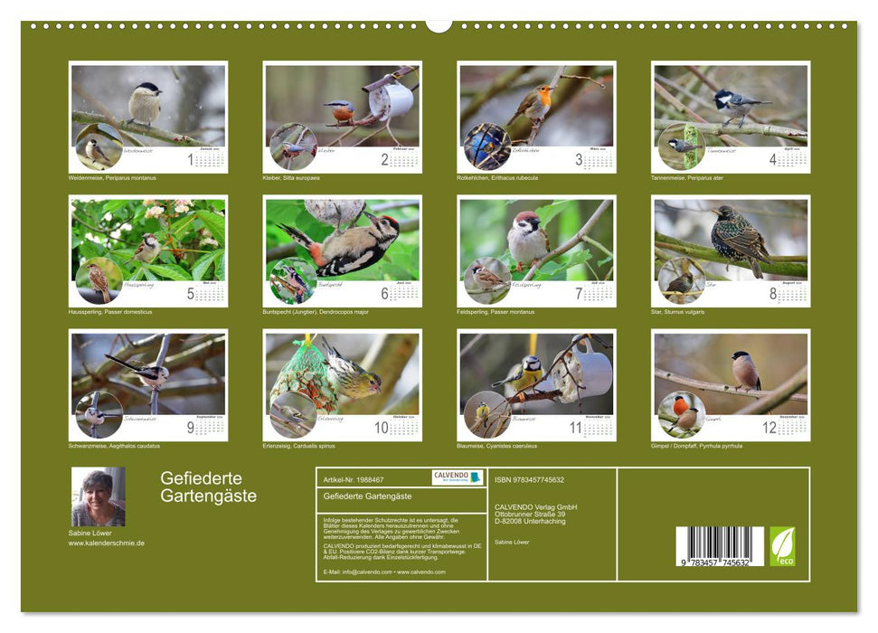 Gefiederte Gartengäste (CALVENDO Premium Wandkalender 2026)