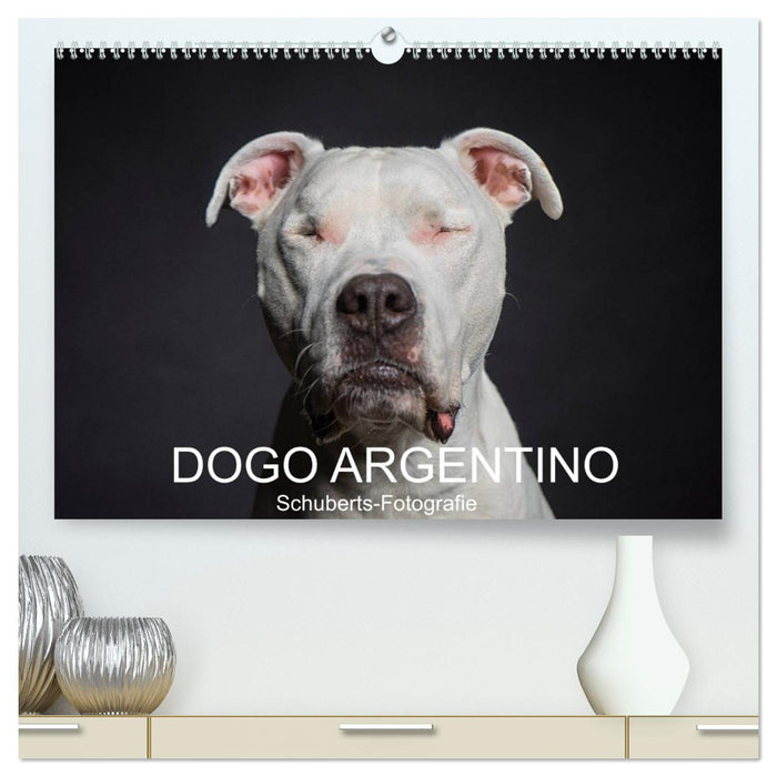 DOGO ARGENTINO (CALVENDO Premium Wandkalender 2026)