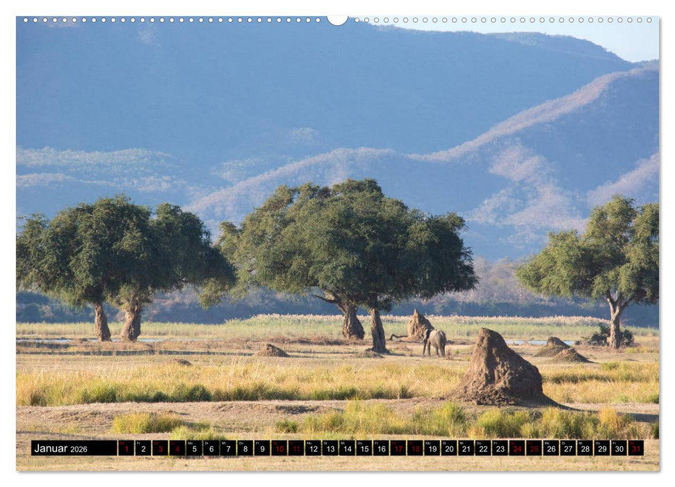 Faszination Simbabwe (CALVENDO Premium Wandkalender 2026)