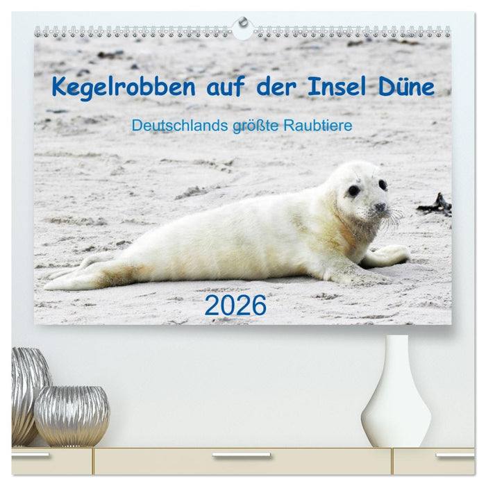 Kegelrobben auf der Insel Düne (CALVENDO Premium Wandkalender 2026)