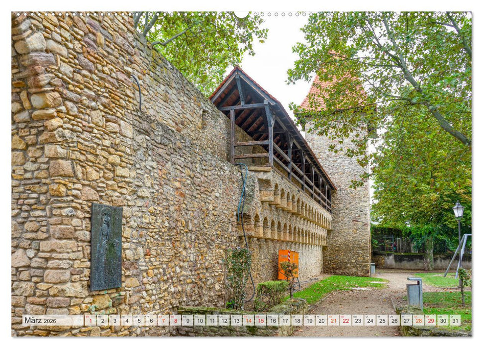 Alzey Impressionen (CALVENDO Wandkalender 2026)