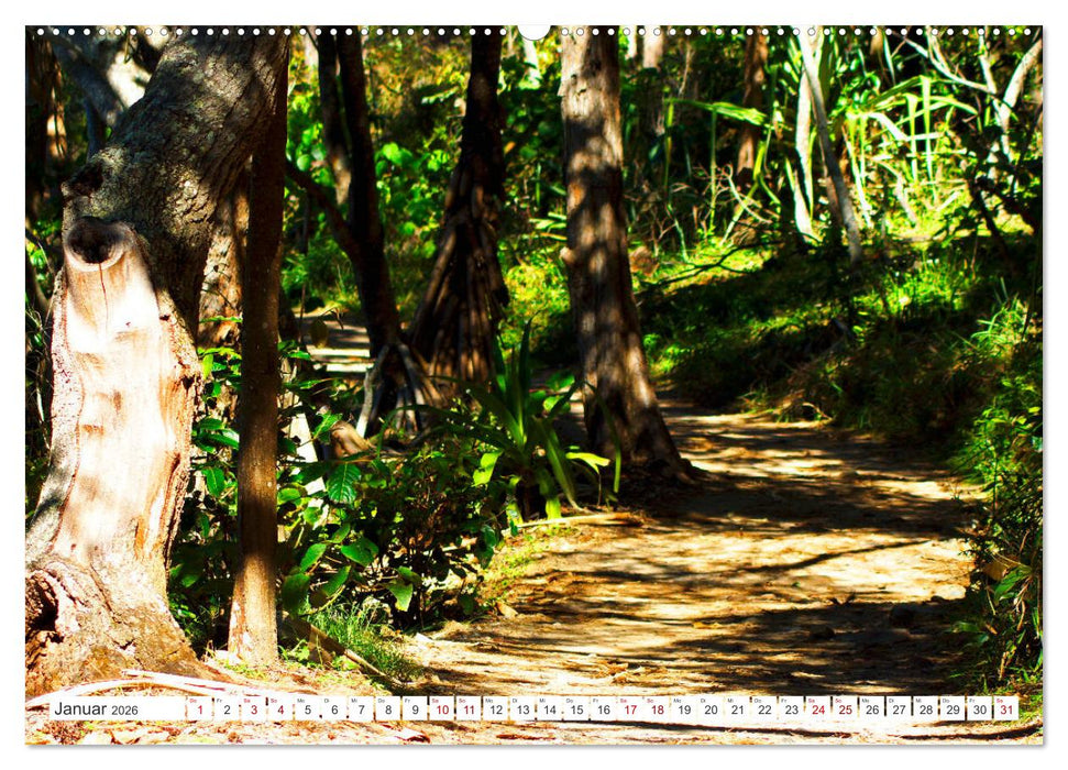 Küstenparadies - Noosa Nationalpark Australien (CALVENDO Premium Wandkalender 2026)