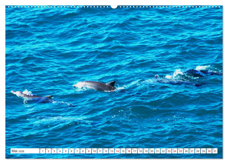 Küstenparadies - Noosa Nationalpark Australien (CALVENDO Premium Wandkalender 2026)