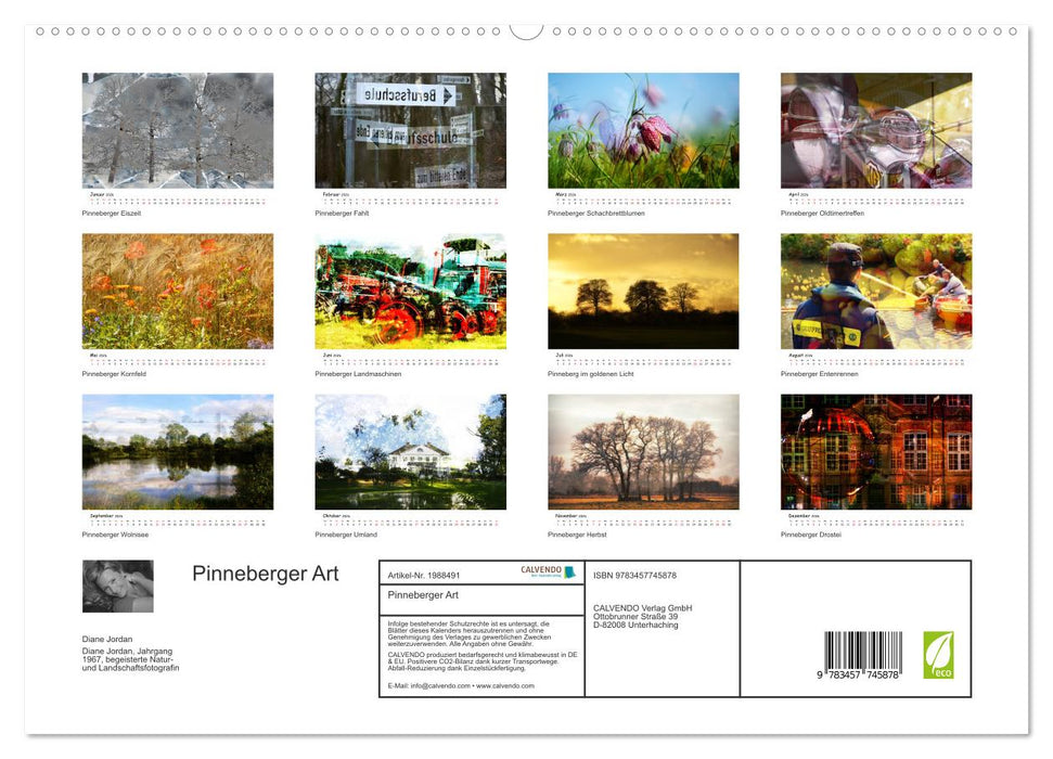 Pinneberger Art (CALVENDO Premium Wandkalender 2026)
