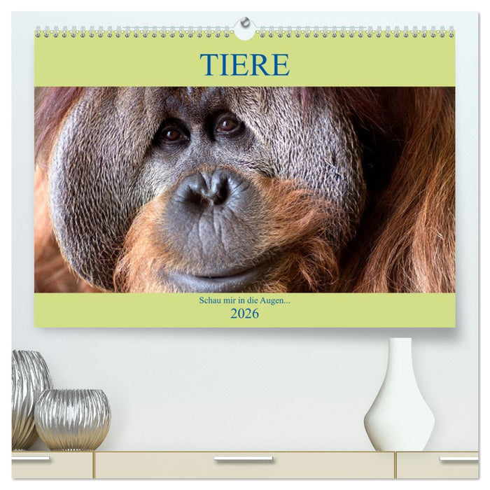 Tiere Schau mir in die Augen (CALVENDO Premium Wandkalender 2026)
