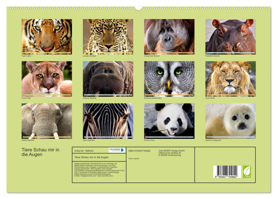 Tiere Schau mir in die Augen (CALVENDO Premium Wandkalender 2026)