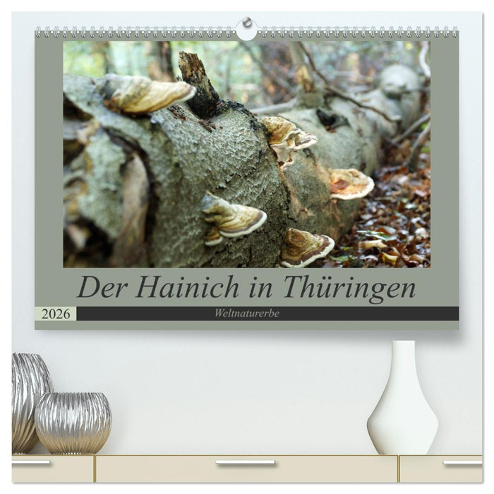 Der Hainich in Thüringen - Weltnaturerbe (CALVENDO Premium Wandkalender 2026)