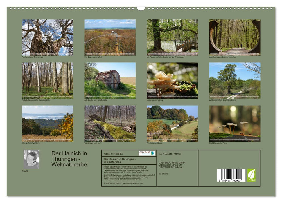 Der Hainich in Thüringen - Weltnaturerbe (CALVENDO Premium Wandkalender 2026)