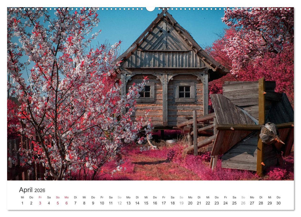 Cottbus und seine Umgebung in Infrarot (CALVENDO Wandkalender 2026)