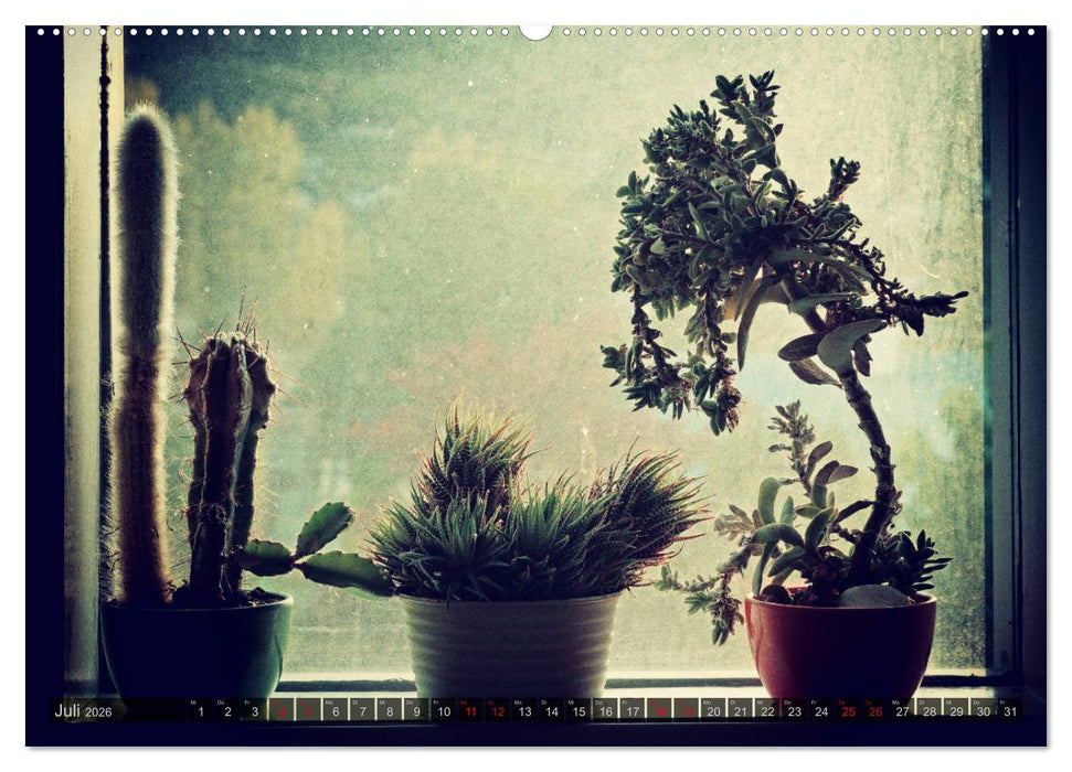 Altes Stilles Leben (CALVENDO Premium Wandkalender 2026)