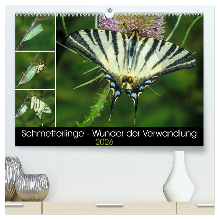 Schmetterlinge - Wunder der Verwandlung (CALVENDO Premium Wandkalender 2026)