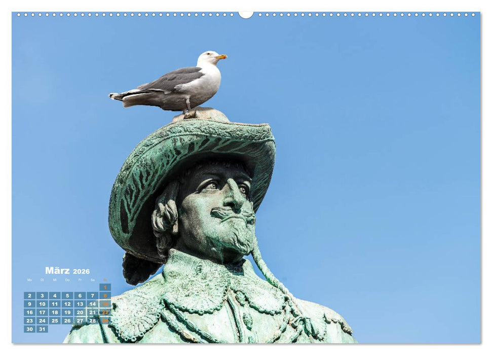 Möwen frech und witzig (CALVENDO Wandkalender 2026)