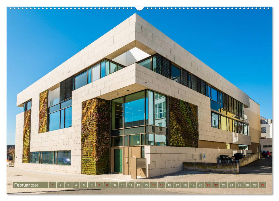 Rheinhessen-Impressionen (CALVENDO Premium Wandkalender 2026)