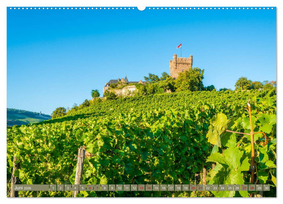 Rheinhessen-Impressionen (CALVENDO Premium Wandkalender 2026)