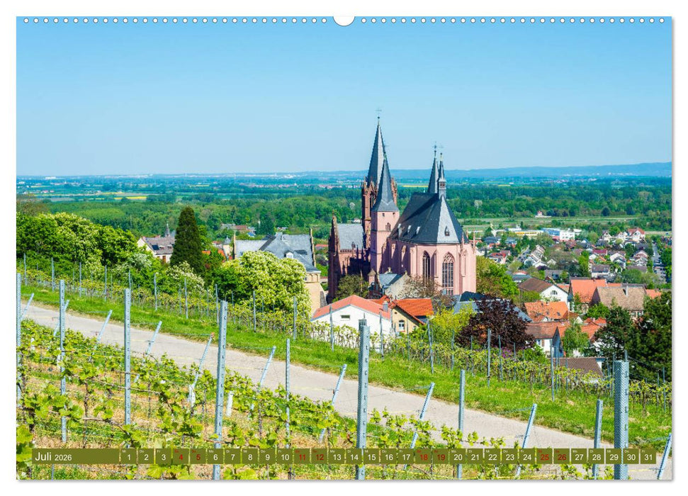 Rheinhessen-Impressionen (CALVENDO Premium Wandkalender 2026)