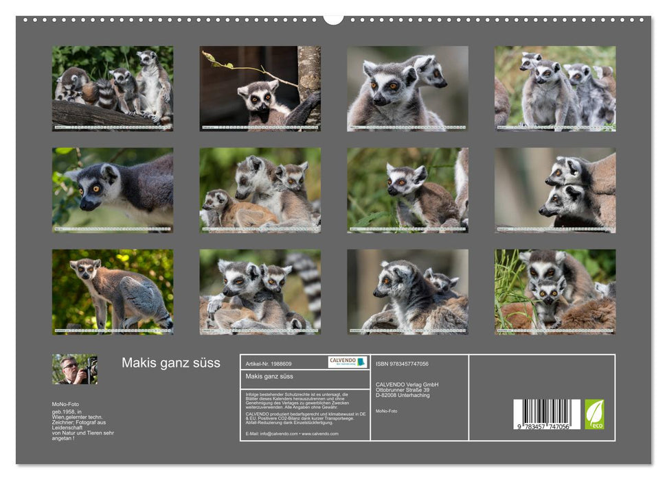 Makis ganz süss (CALVENDO Premium Wandkalender 2026)