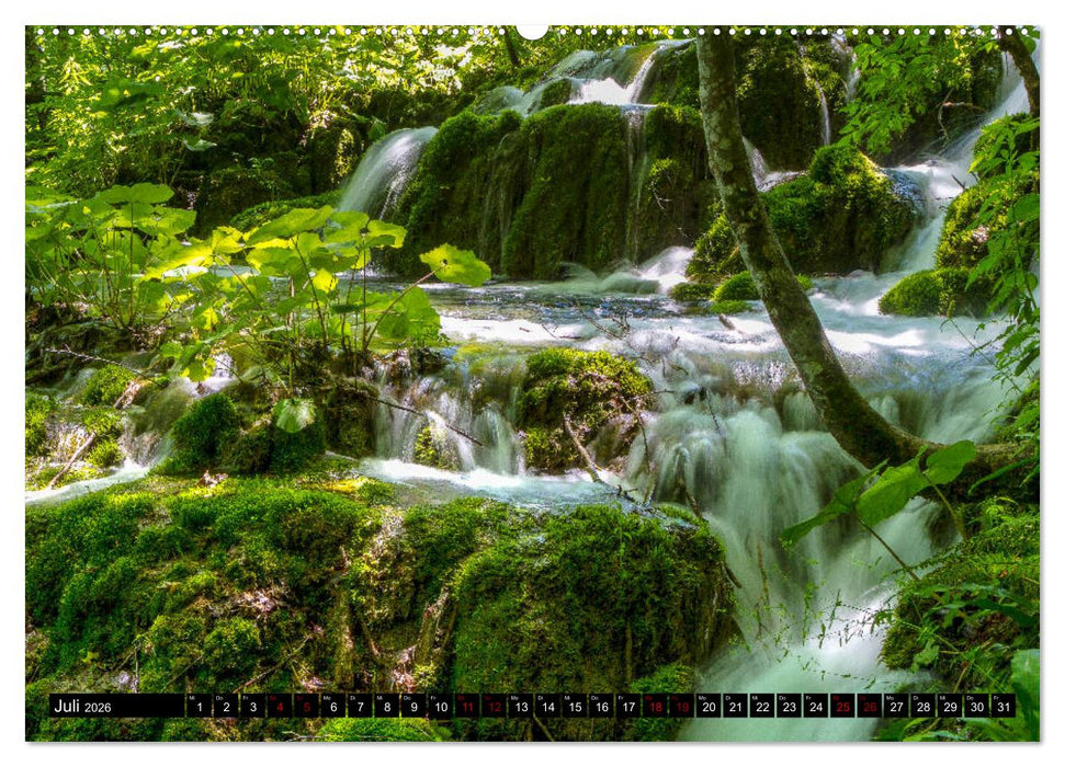 Faszination wildes Wasser (CALVENDO Premium Wandkalender 2026)