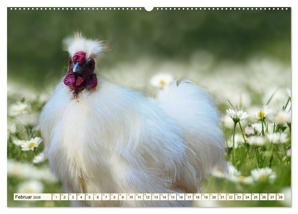 Faszinierende Hühnervögel (CALVENDO Premium Wandkalender 2026)