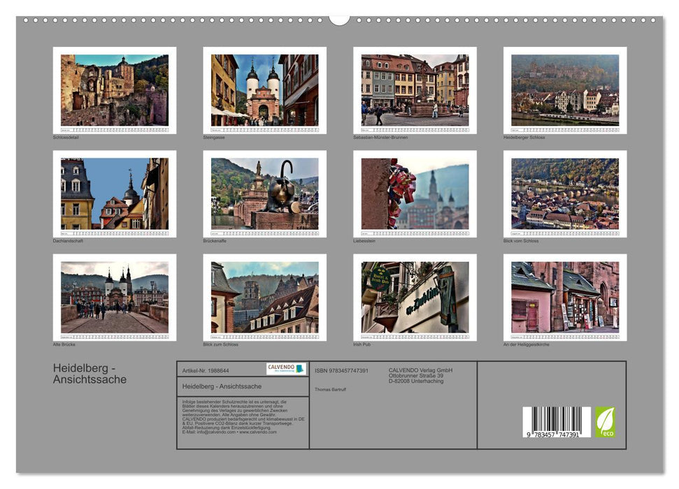 Heidelberg - Ansichtssache (CALVENDO Premium Wandkalender 2026)