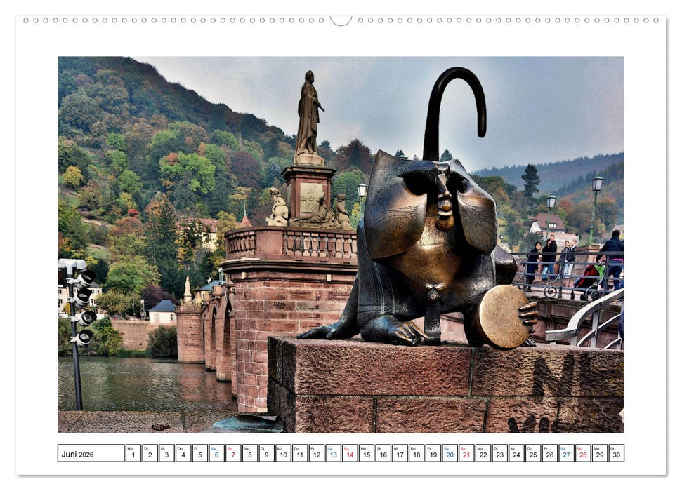 Heidelberg - Ansichtssache (CALVENDO Premium Wandkalender 2026)