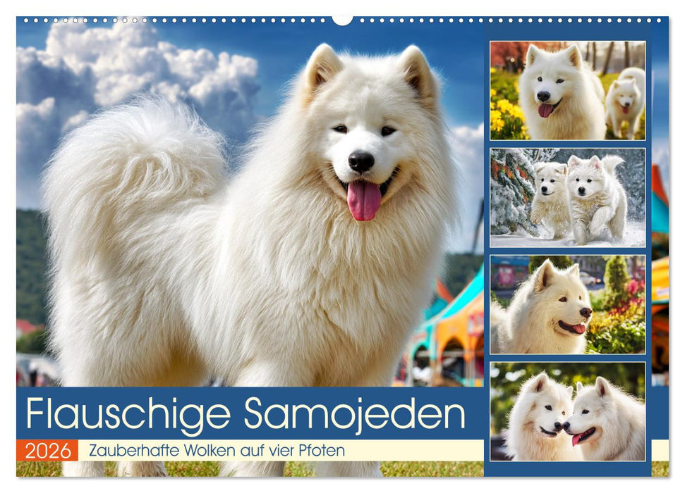 Flauschige Samojeden. Zauberhafte Wolken auf vier Pfoten (CALVENDO Wandkalender 2026)