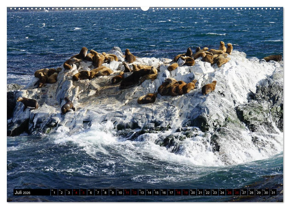 Argentinien - Von Iguazu bis Feuerland (CALVENDO Premium Wandkalender 2026)