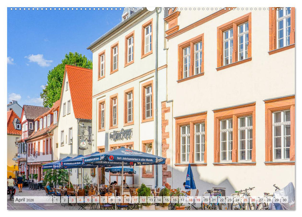 Aschaffenburg Impressionen (CALVENDO Premium Wandkalender 2026)