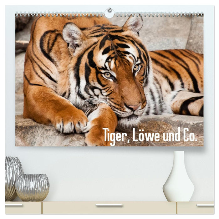 Tiger, Löwe und Co. (CALVENDO Premium Wandkalender 2026)