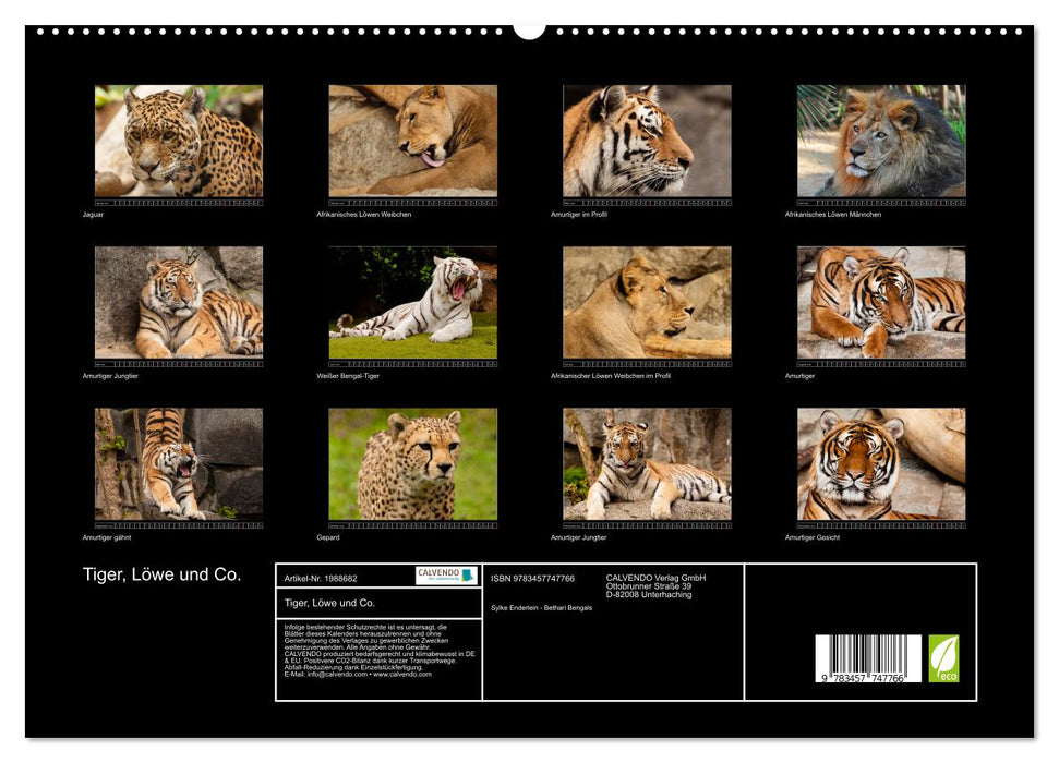 Tiger, Löwe und Co. (CALVENDO Premium Wandkalender 2026)
