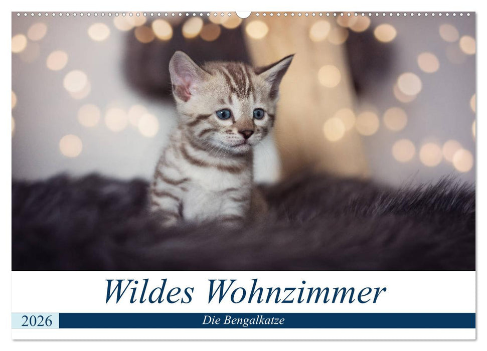 Wildes Wohnzimmer - Die Bengalkatze (CALVENDO Wandkalender 2026)