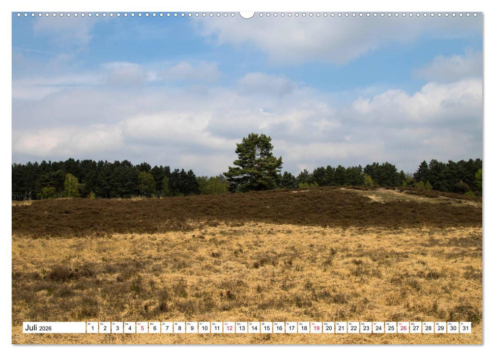 Gifhorn entdecken (CALVENDO Premium Wandkalender 2026)