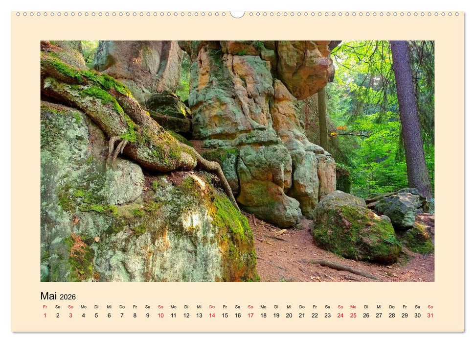 Grafschaft Glatz - Entdeckungen im Glatzer Kessel (CALVENDO Premium Wandkalender 2026)